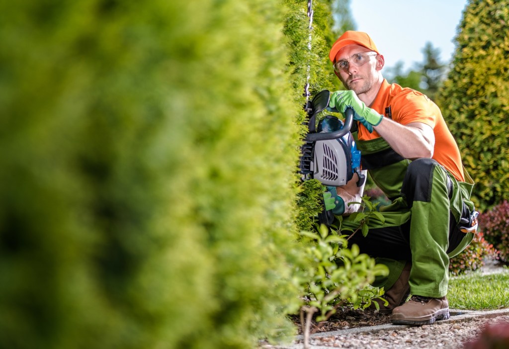 Landscaper trimming a hedge in a residential garden