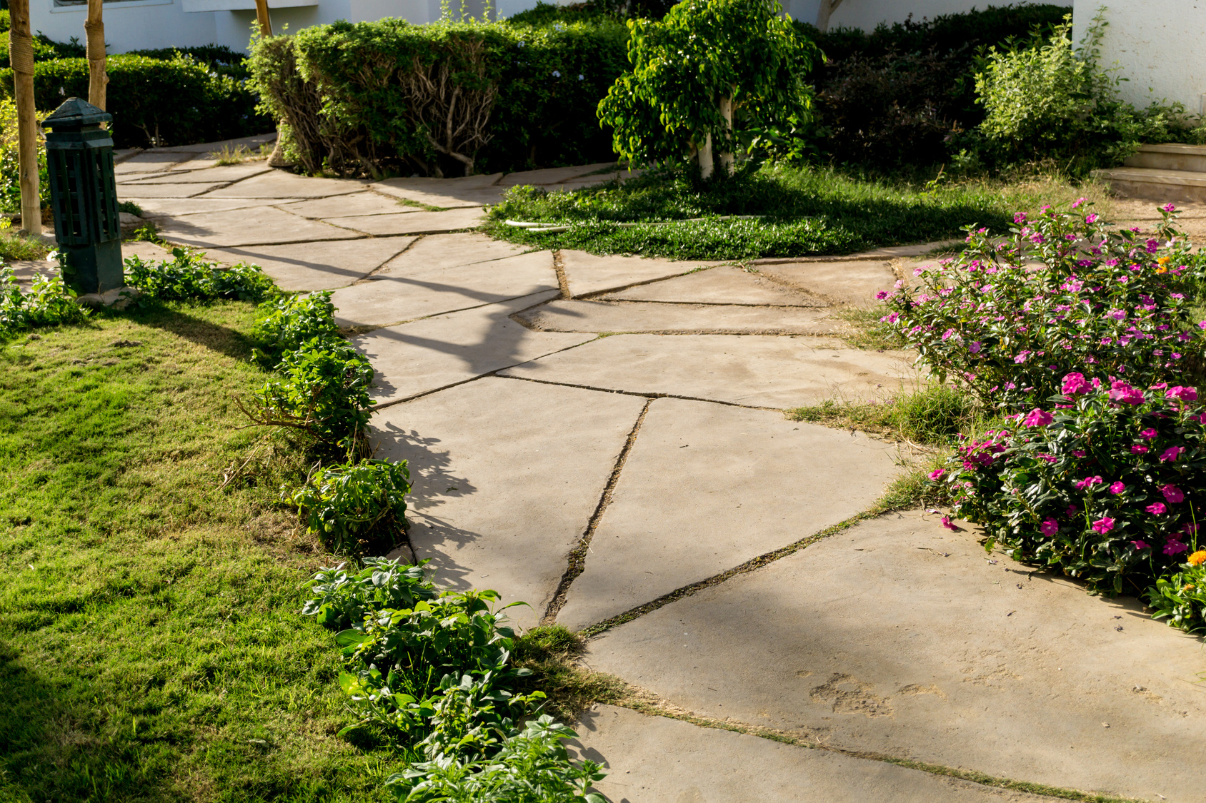 Professionally designed residential garden