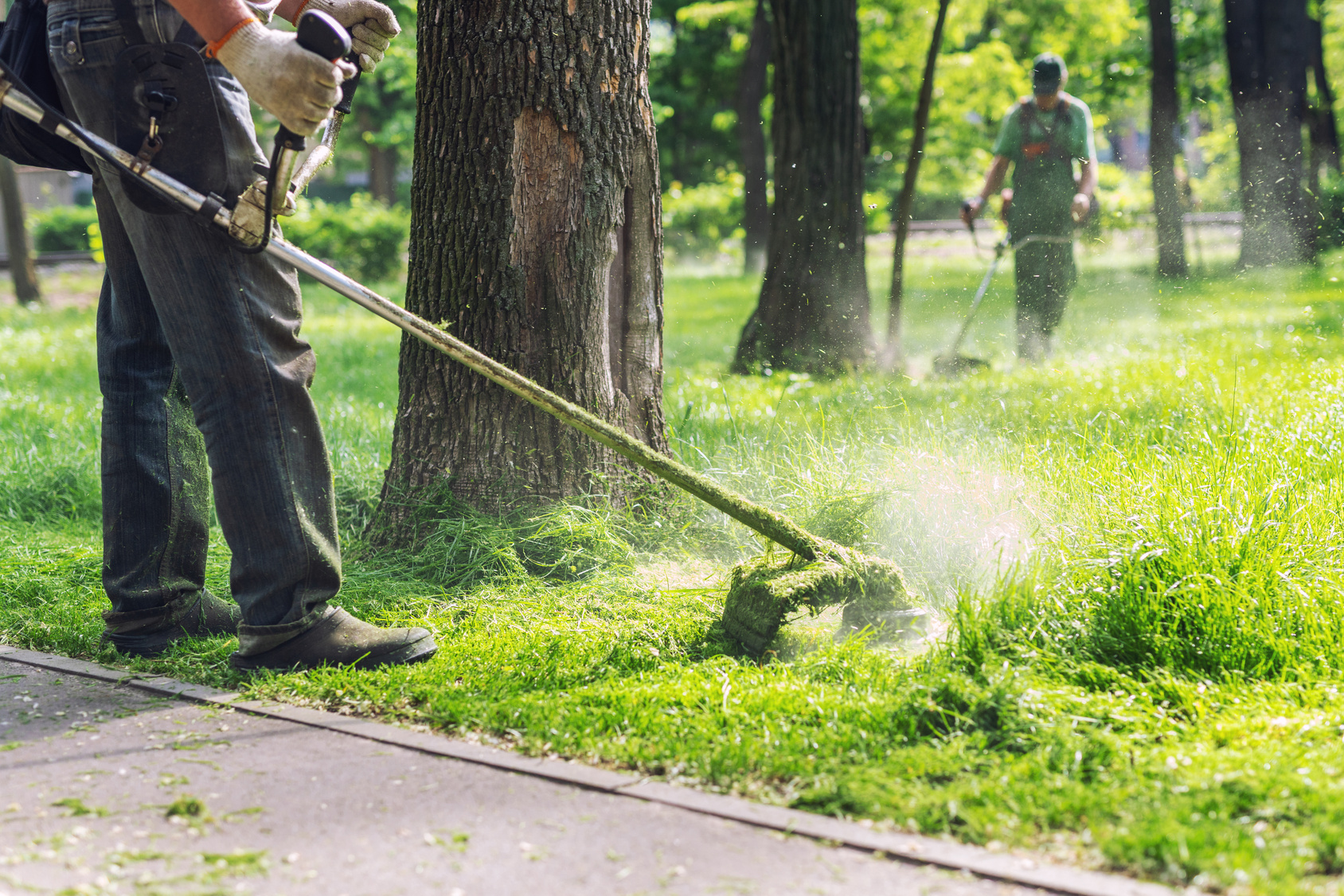 Grounds crew member trimming tall grass