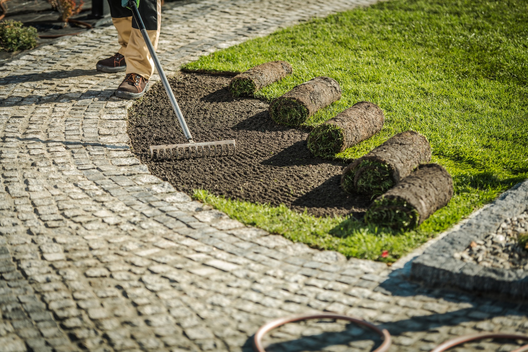 Landscaper installing new grass turf